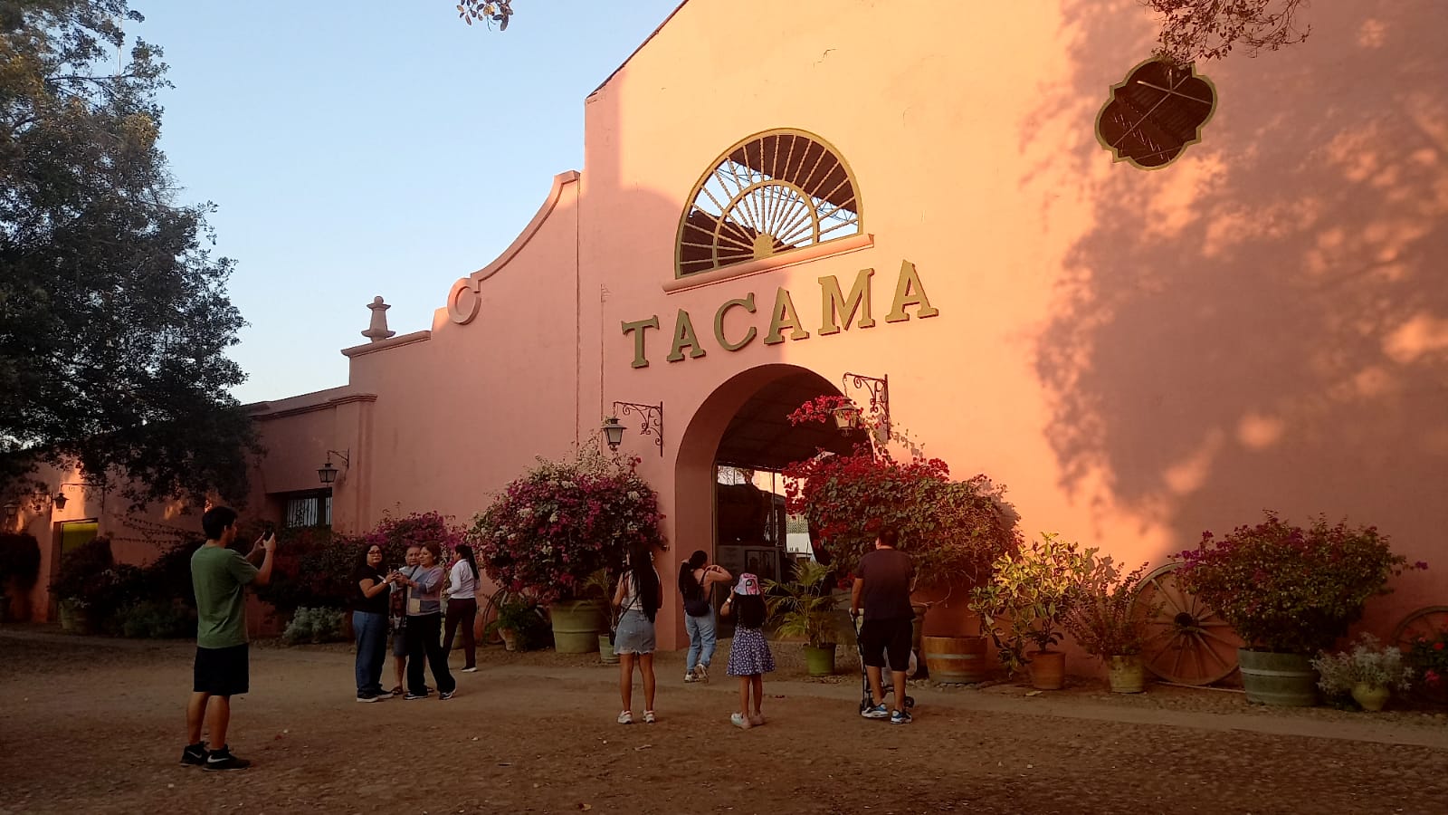 Viñedo histórico. Fachada de la bodega Tacama. Foto: Edith Vera