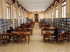 Las bibliotecas en la era digital: entre tradición y adaptación