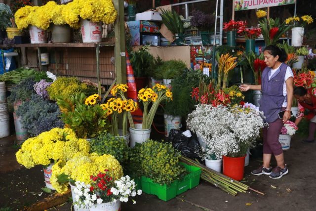 Residuos florales son transformados en abono orgánico Residuos florales son transformados en abono orgánico