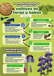 Infografía sobre el procedimiento de aislamiento de microbacterias
