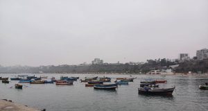 Pesca artesanal no es considerado parte del crecimiento del PBI nacional