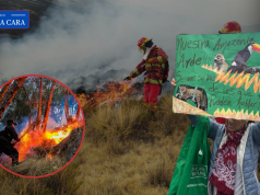 La Amazonía tardará más de 100 años en recuperarse de incendios forestales