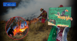La Amazonía tardará más de 100 años en recuperarse de incendios forestales