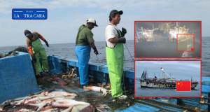 Embarcaciones chinas agravan la escasez de pota