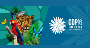 Colombia inaugura la COP16 de Biodiversidad con cuatro metas clave