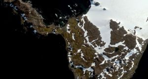 La Península Antártica se vuelve verde con el avance del calentamiento global
