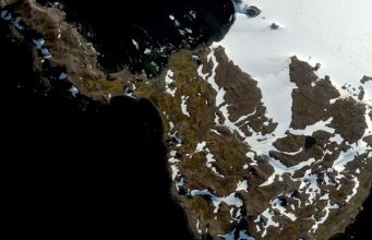 La Península Antártica se vuelve verde con el avance del calentamiento global