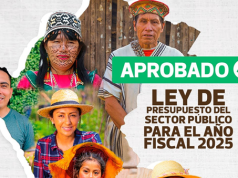 Presupuesto 2025 refuerza sectores de salud y educación Presupuesto 2025 refuerza sectores de salud y educación