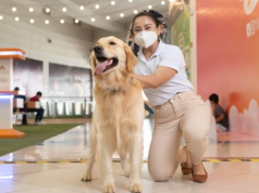 Mascotas son bienvenidas en centros comerciales de Perú