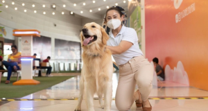 Mascotas son bienvenidas en centros comerciales de Perú