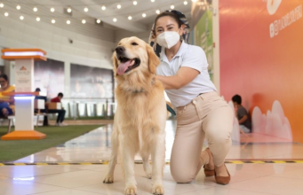 Mascotas son bienvenidas en centros comerciales de Perú