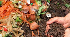 El compostaje ofrece una alternativa sostenible para la valorización de los residuos orgánicos Valorización de los residuos orgánicos