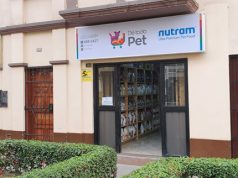 “Es preferible poner días y horarios para que las mascotas disfruten de los espacios públicos en lugar de prohibirlo” MINSA prohibió el ingreso de mascotas a las playas