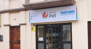 “Es preferible poner días y horarios para que las mascotas disfruten de los espacios públicos en lugar de prohibirlo” MINSA prohibió el ingreso de mascotas a las playas