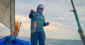 Produce establece nuevas reglas para ordenar pesca de pota