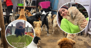 “Lo hacemos por los que no tienen voz” Voluntariado Buscando un Cambio