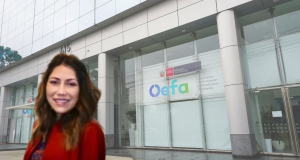 “El gran problema del país es la informalidad” Industria textil e informalidad