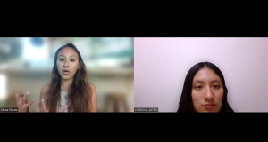 “El rol del periodismo ambiental es fundamental porque muchas veces las entidades del Estado que deben fiscalizar son débiles” Importancia del periodismo ambiental