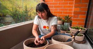 Los residuos orgánicos se transforman en abono gracias al compostaje en casa Los residuos orgánicos se transforman en abono