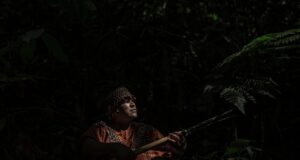 La resistencia indígena que enfrenta sola al crimen organizado en la Amazonía