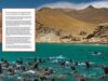 Más de 400 científicos exigen al Congreso aprobar ley para blindar las áreas marinas protegidas frente a la pesca industrial