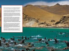 Más de 400 científicos exigen al Congreso aprobar ley para blindar las áreas marinas protegidas frente a la pesca industrial