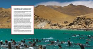 Más de 400 científicos exigen al Congreso aprobar ley para blindar las áreas marinas protegidas frente a la pesca industrial