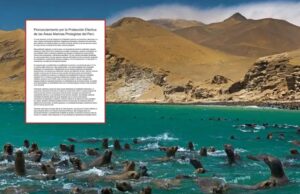 Más de 400 científicos exigen al Congreso aprobar ley para blindar las áreas marinas protegidas frente a la pesca industrial