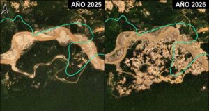 Minería ilegal arrasa más de 500 hectáreas de bosque amazónico