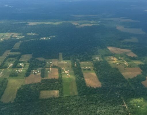 Crecen las alertas por la expansión de las colonias menonitas en la Amazonía