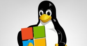 ¿Adiós definitivo a Windows?: Por qué tu próxima computadora no tendrá el sistema operativo de Microsoft